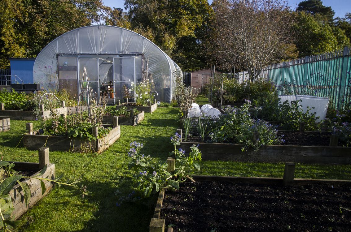 Poly tunnel and raised beds 